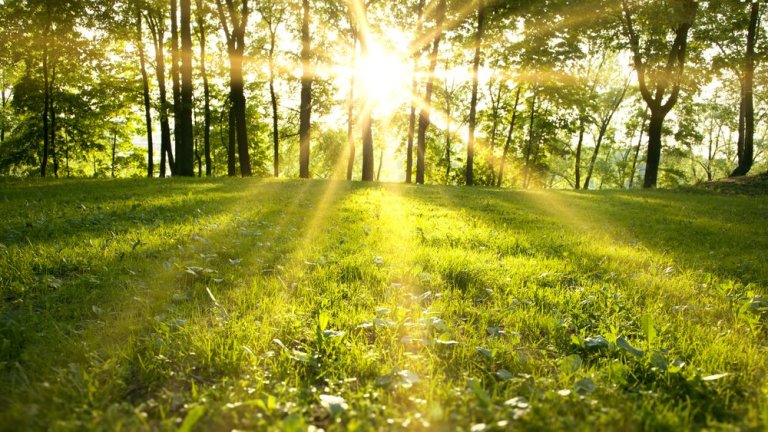 ANM a revizuit avertizarea privind condițiile meteo nefavorabile. Regiunile influențate de ninsoare până joi dimineața. HARTĂ