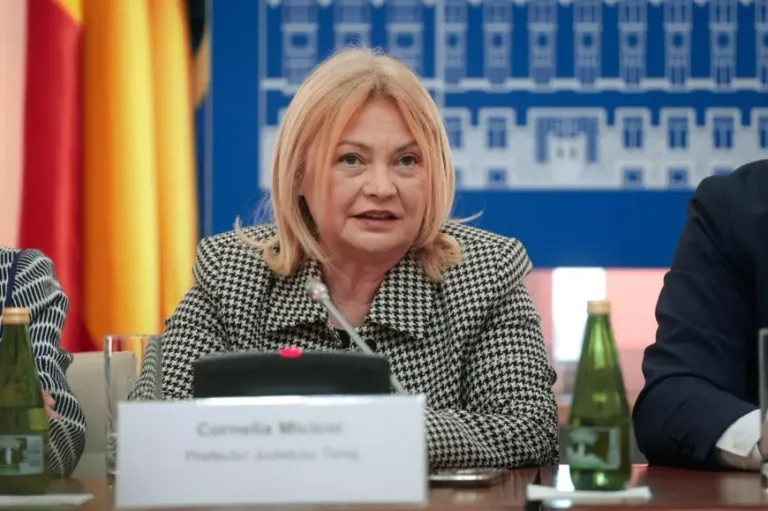 Punctul culminant al digitalizării: cazier judiciar solicitat prin aplicația MAI, refuzat în Timișoara la proba pentru obținerea permisului auto.