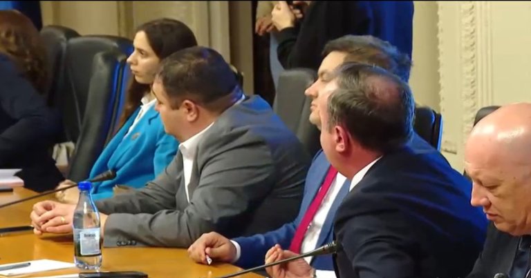 Scandal la audierile Oanei Țoiu, ministrul de Externe: abaterile xenofobe în comisia parlamentară...