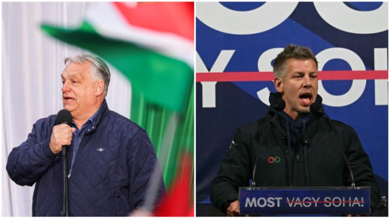 „Un semn al corupției”: Zebre, avuție și putere – alegerile din Ungaria provocationează controlul...