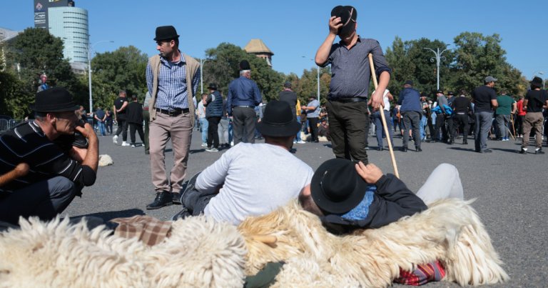 Mii de fermieri de oi manifestă în Capitală, iar jandarmii folosesc gaze lacrimogene după incidentul de la ANSVSA.